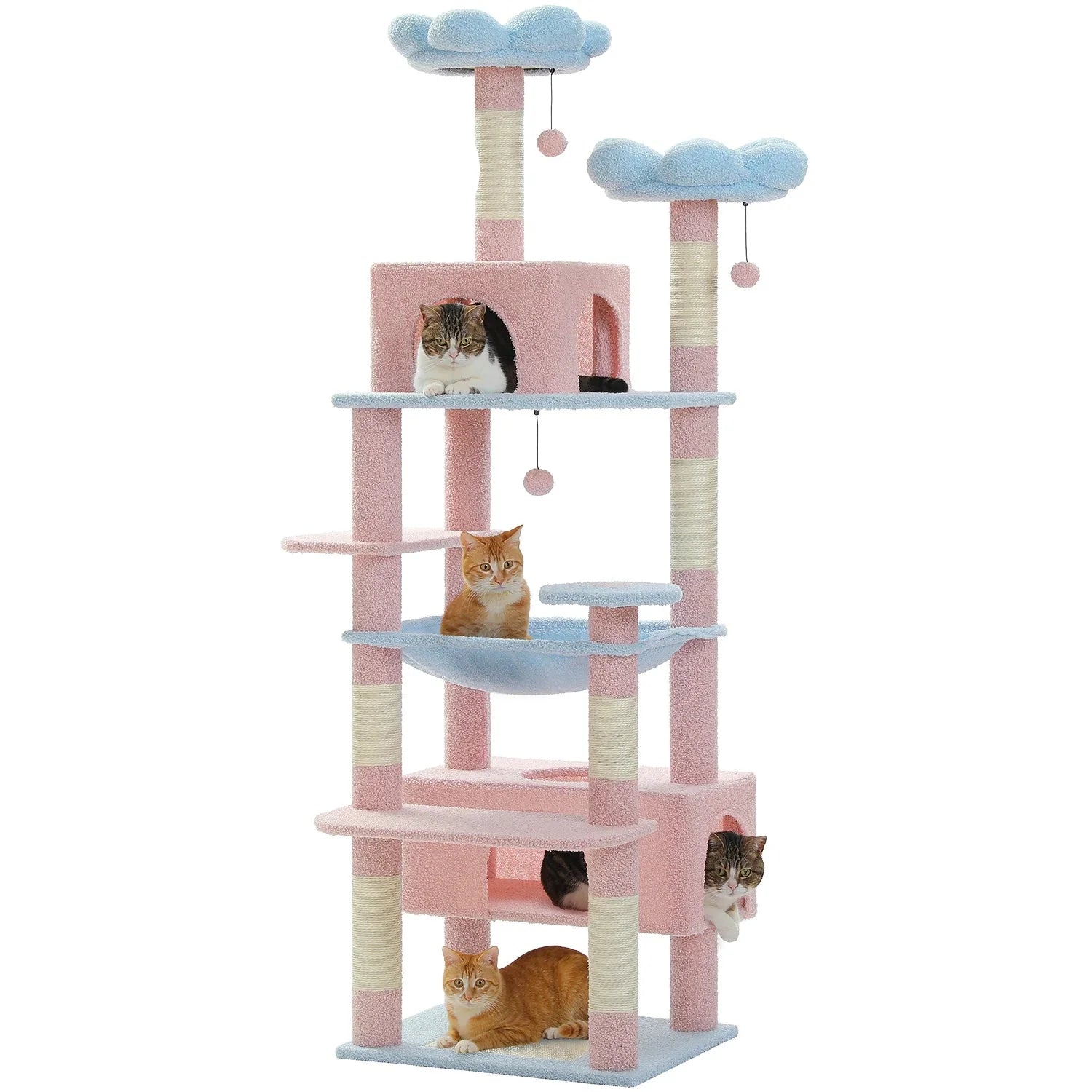 Arbre à chat <br> fleurs