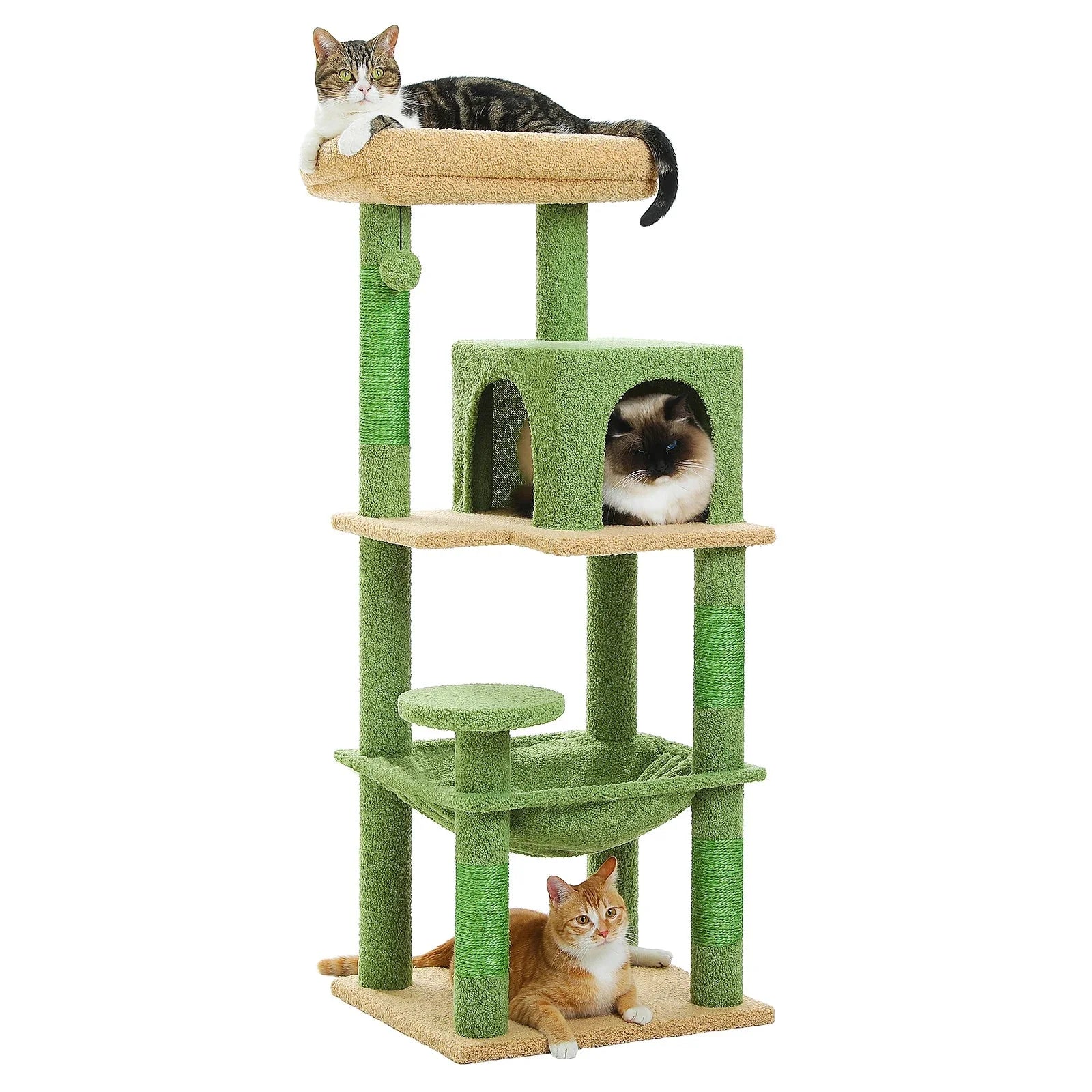 Arbre à chat <br> vert