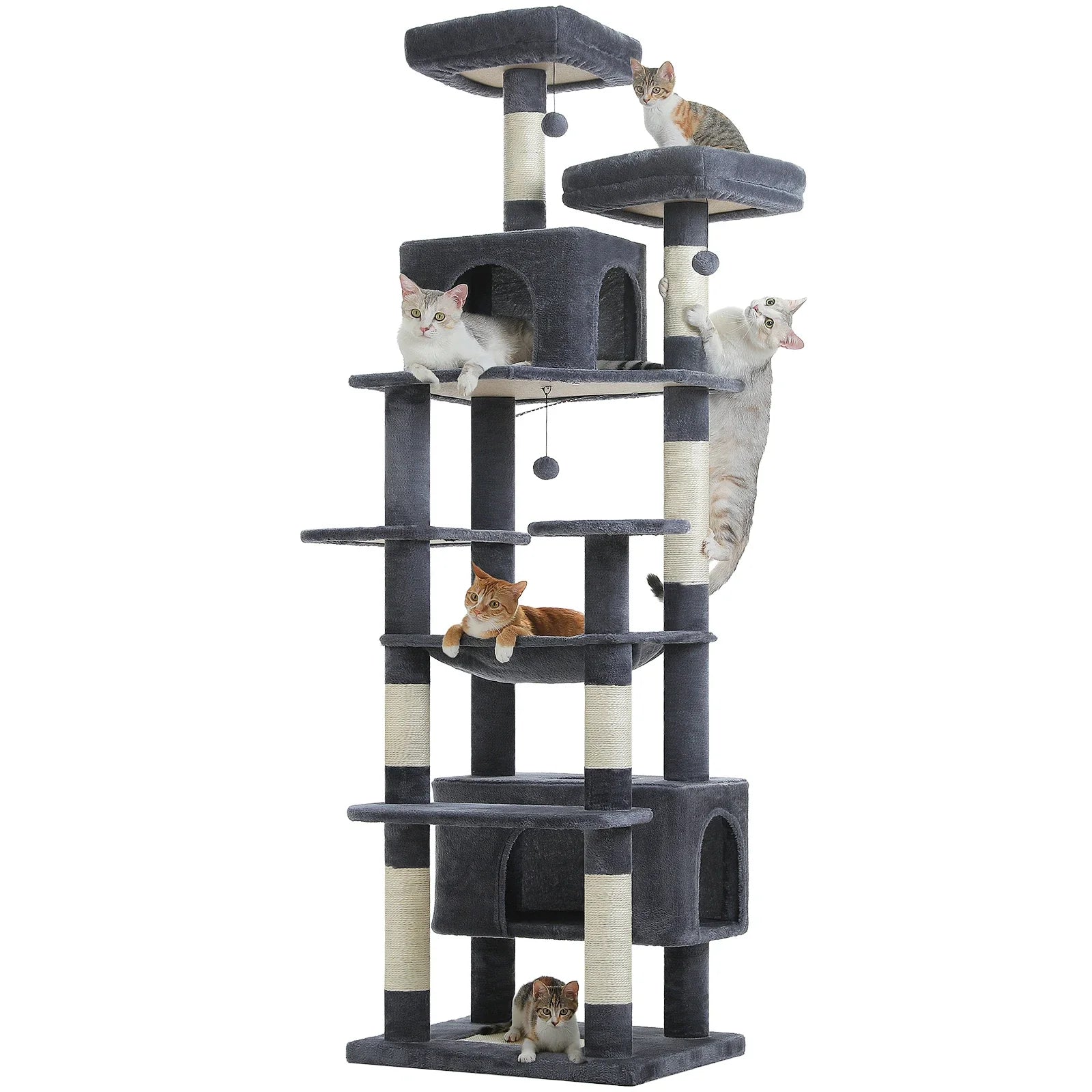 Arbre à chat <br> grande plateforme