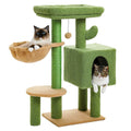 Arbre à chat <br> hamac cactus