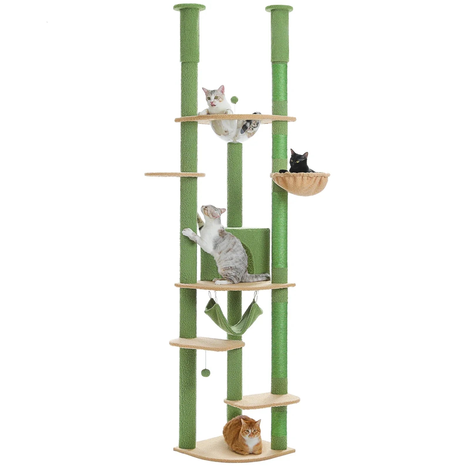 Arbre à chat <br> sol plafond d'angle vert et sable