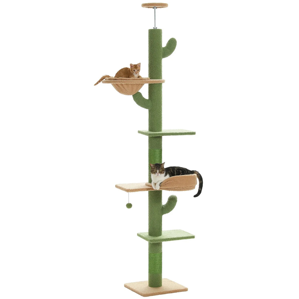 Arbre à chat <br> cactus plafond