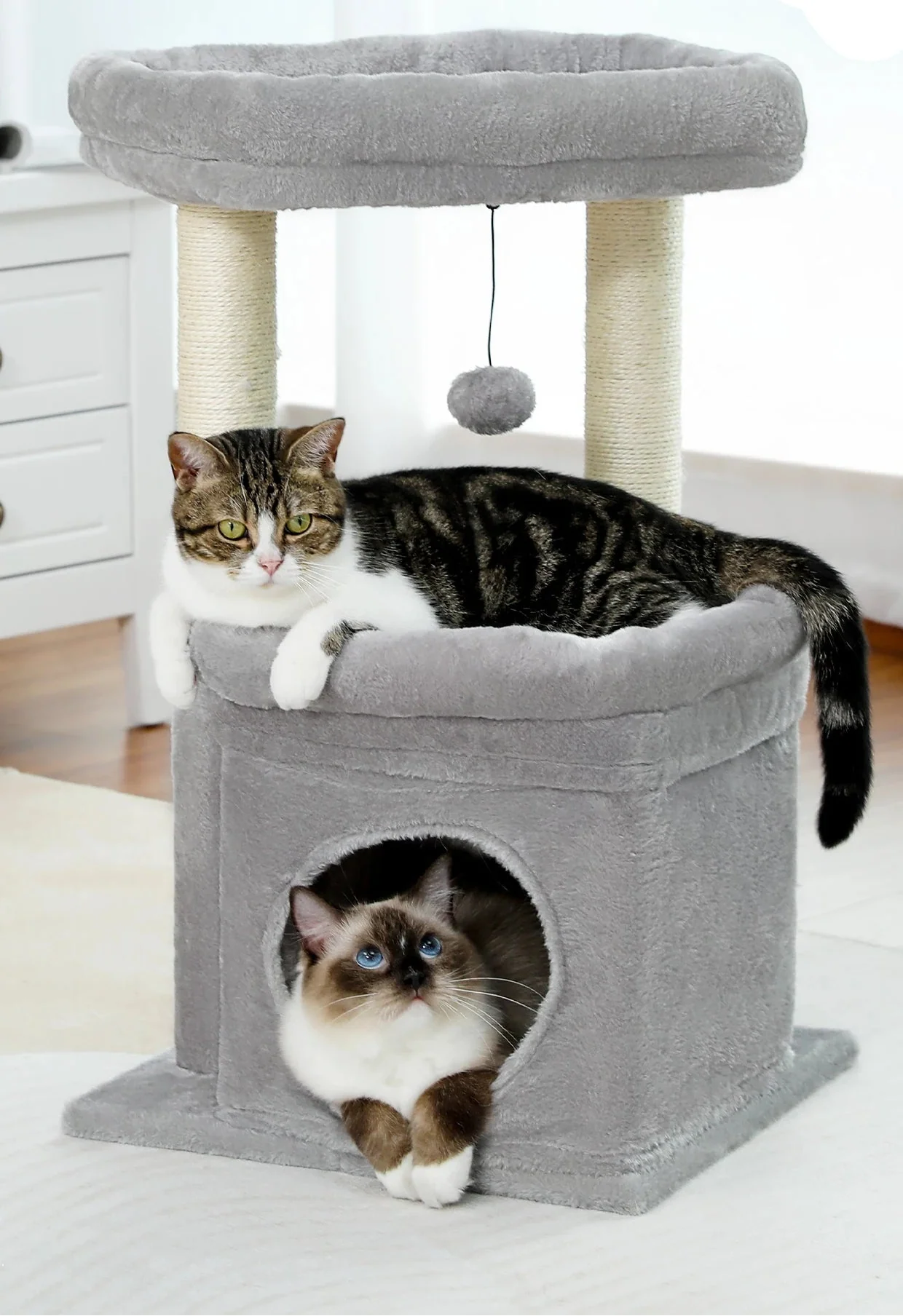 Arbre à Chat 1 Étage Gris – Quaea