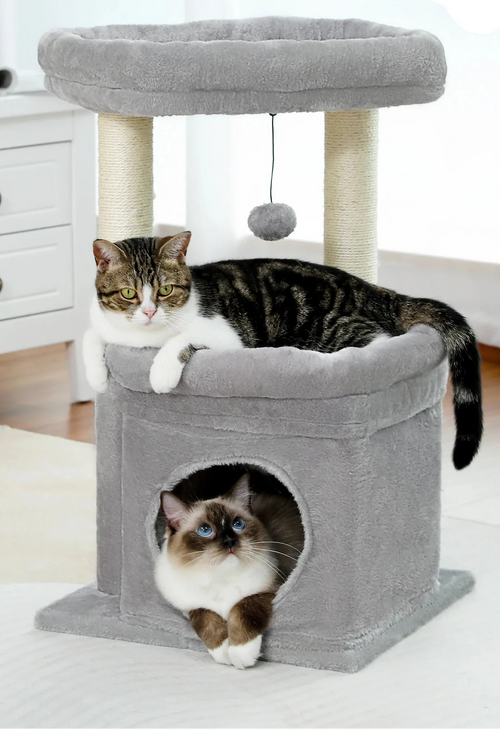 Arbre à Chat 1 Étage Gris – Quaea