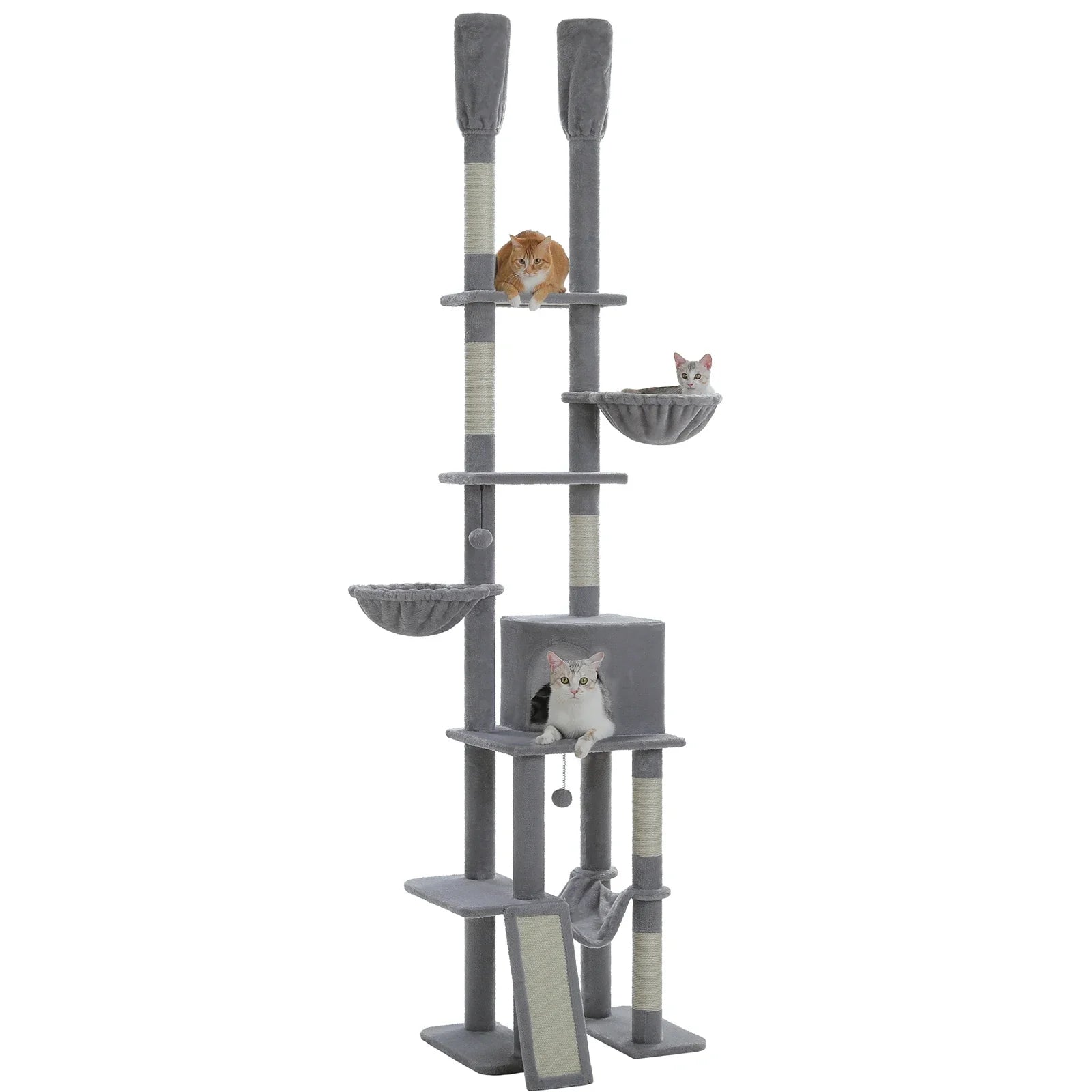 Arbre à Chat Plafond – Galelis