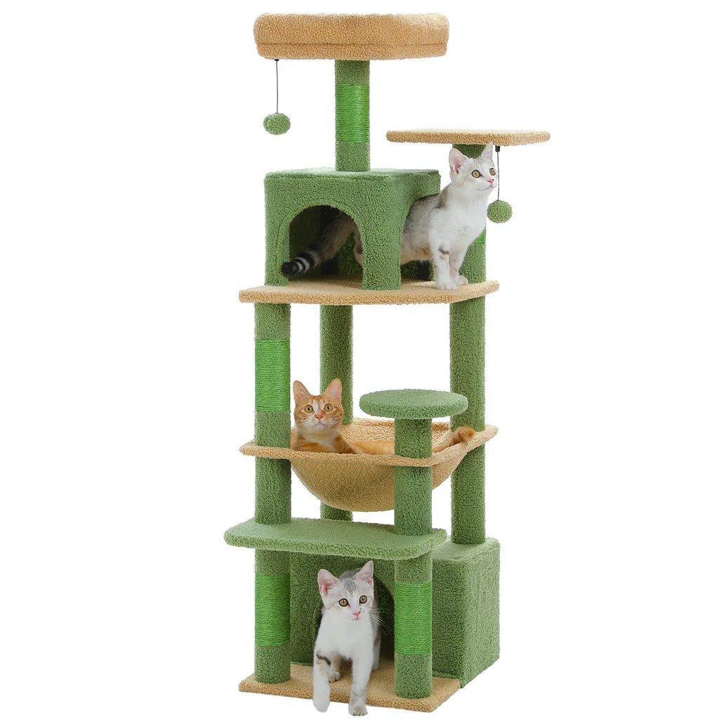 Arbre à chat <br> cactus et hamac