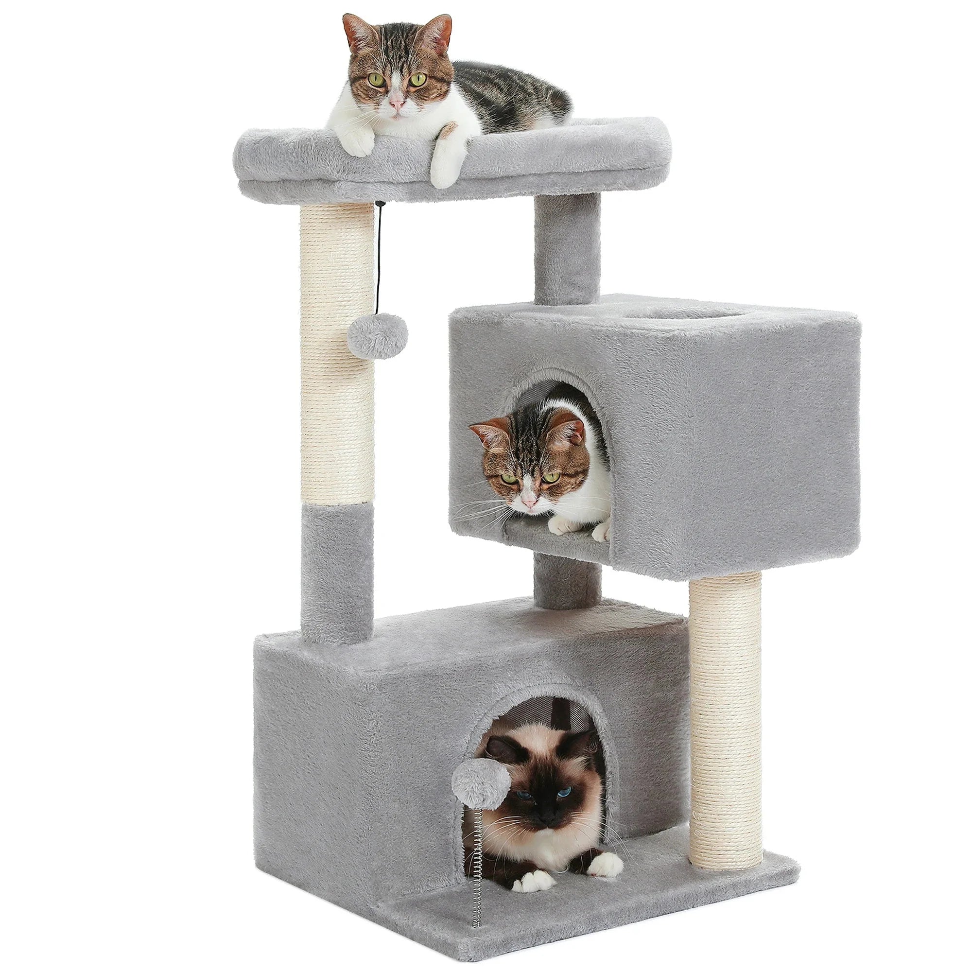 Arbre à chat <br> petit espace