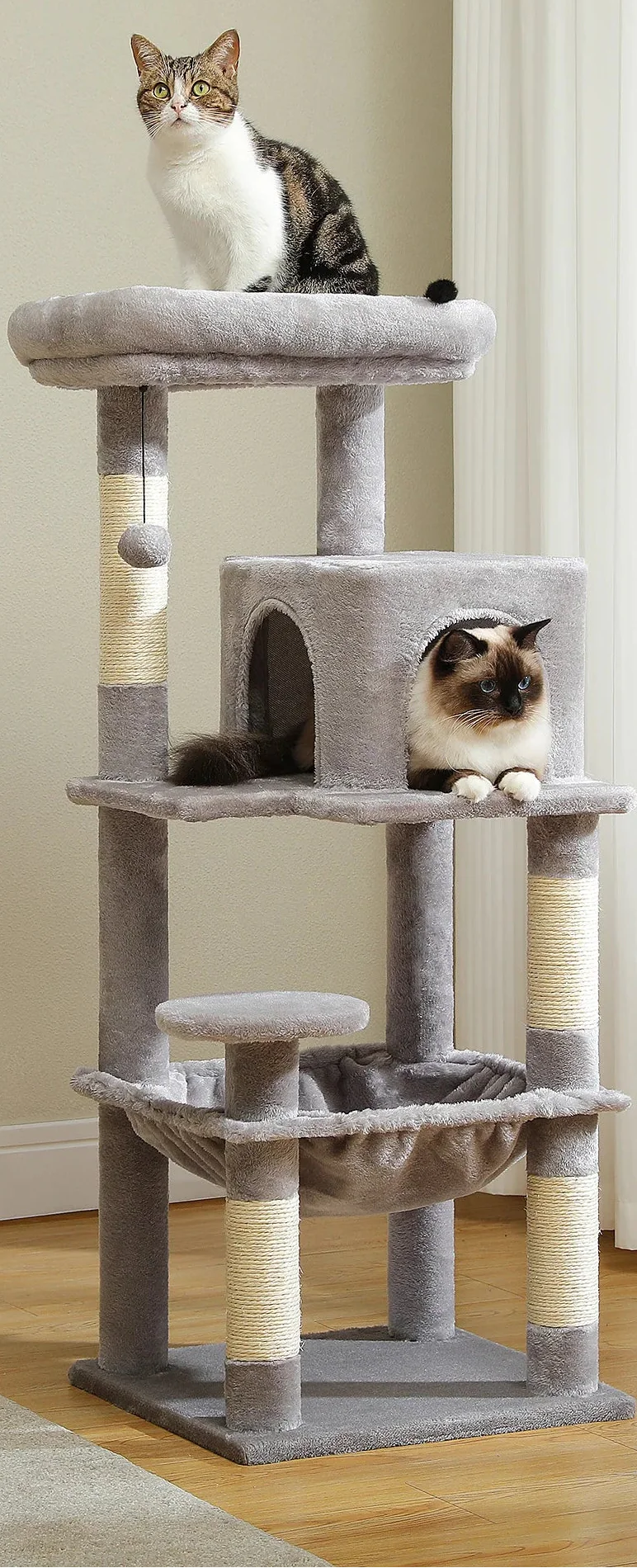 Arbre à Chat Gris – Isine