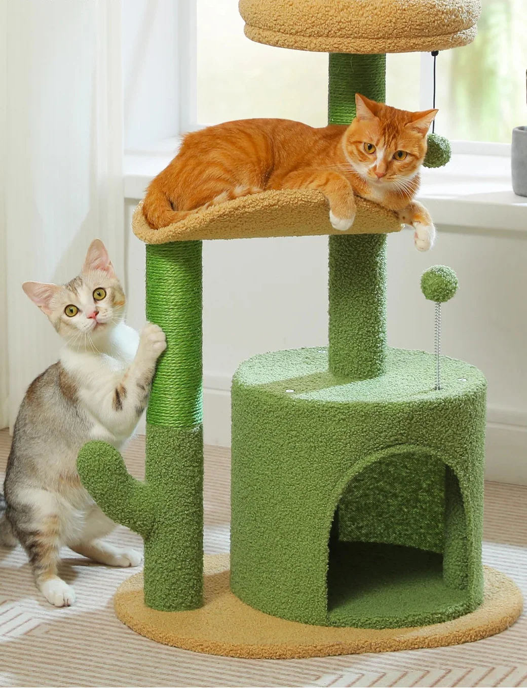 Arbre à Chat Fleur Petit Cactus – Rala