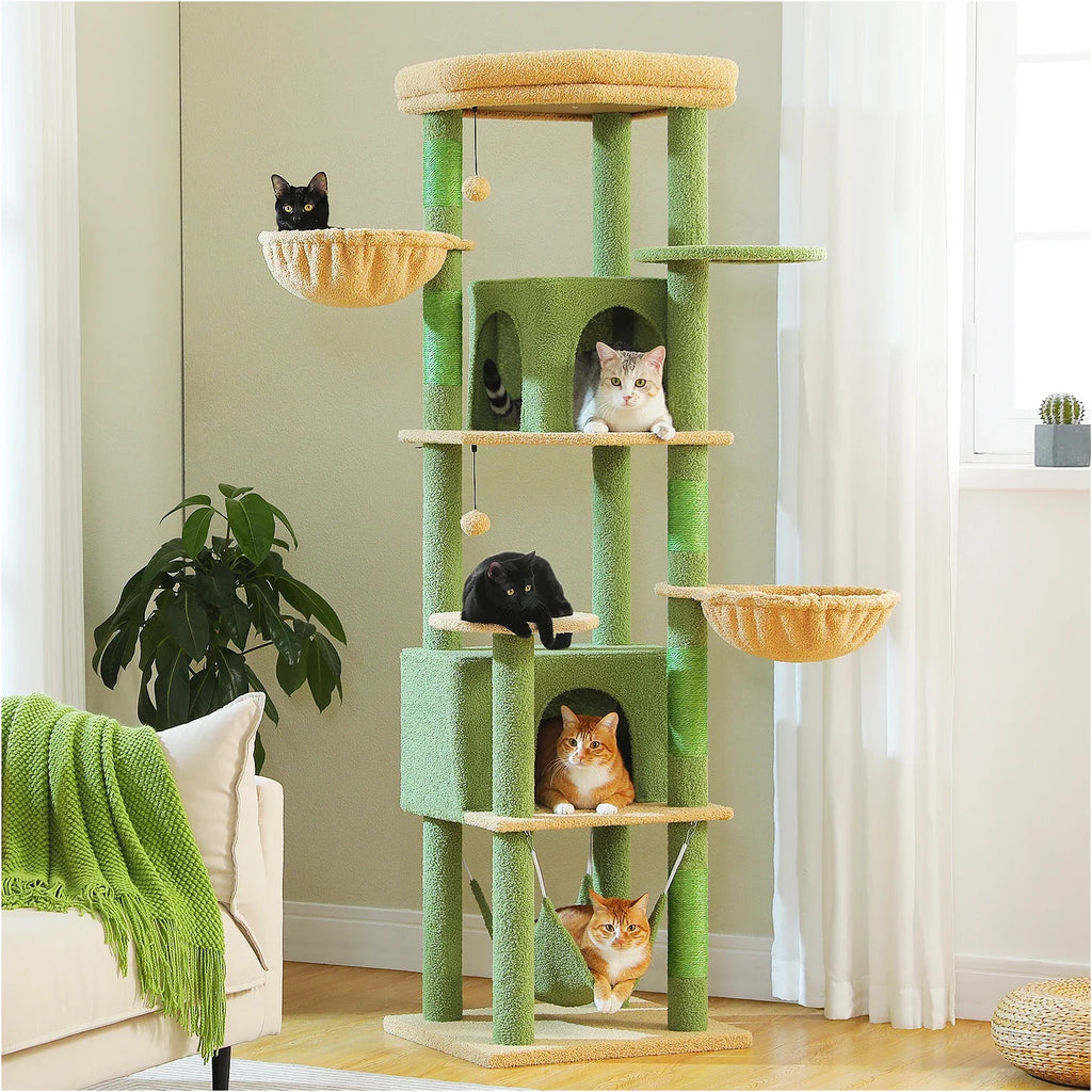 Arbre à Chat Spécial Maine Coon Vert – Orelis