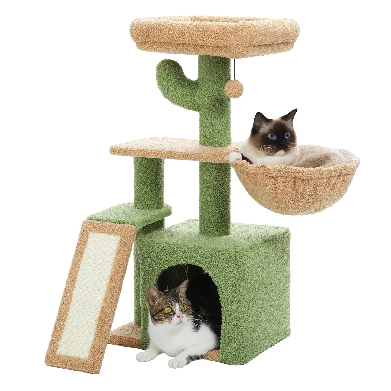 Arbre à chat <br> moderne petit cactus