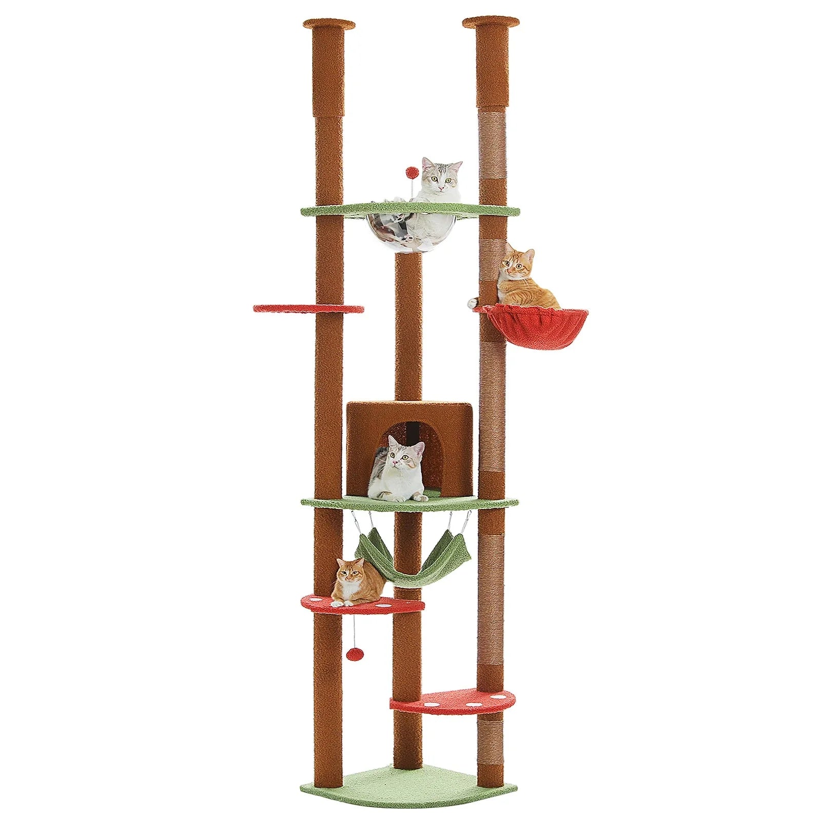 Arbre à chat <br> sol plafond d'angle champignon