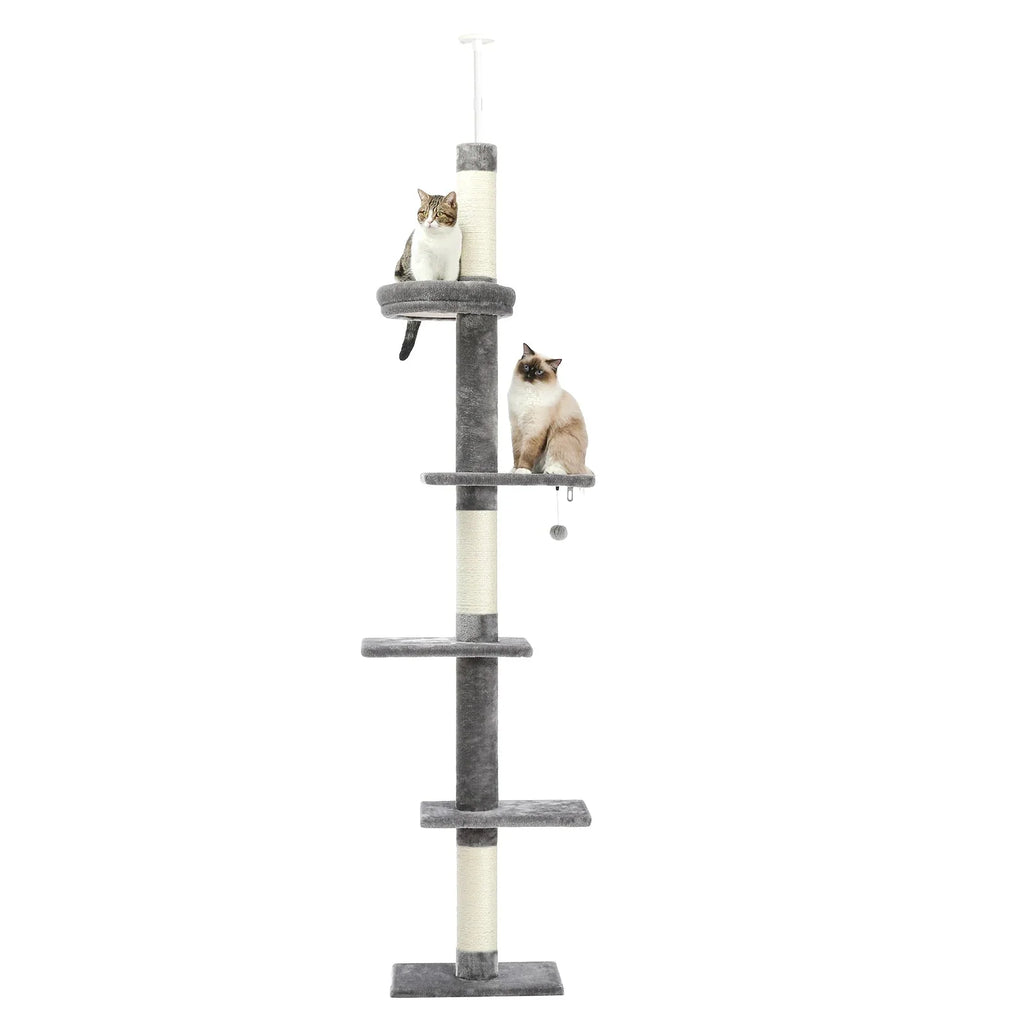 Arbre à chat <br> plafond gris