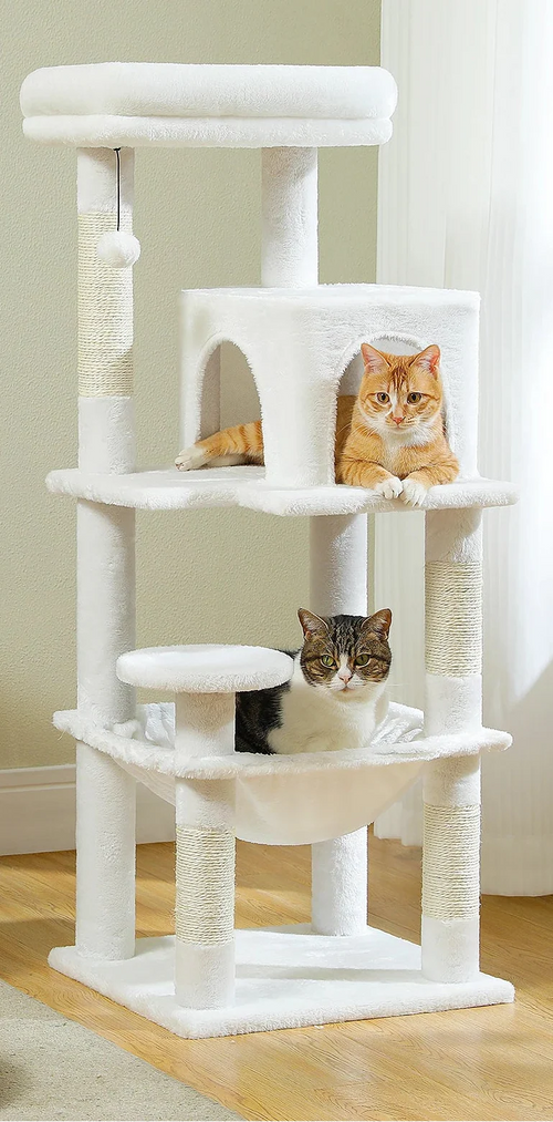 Arbre à Chat Blanc – Serelle