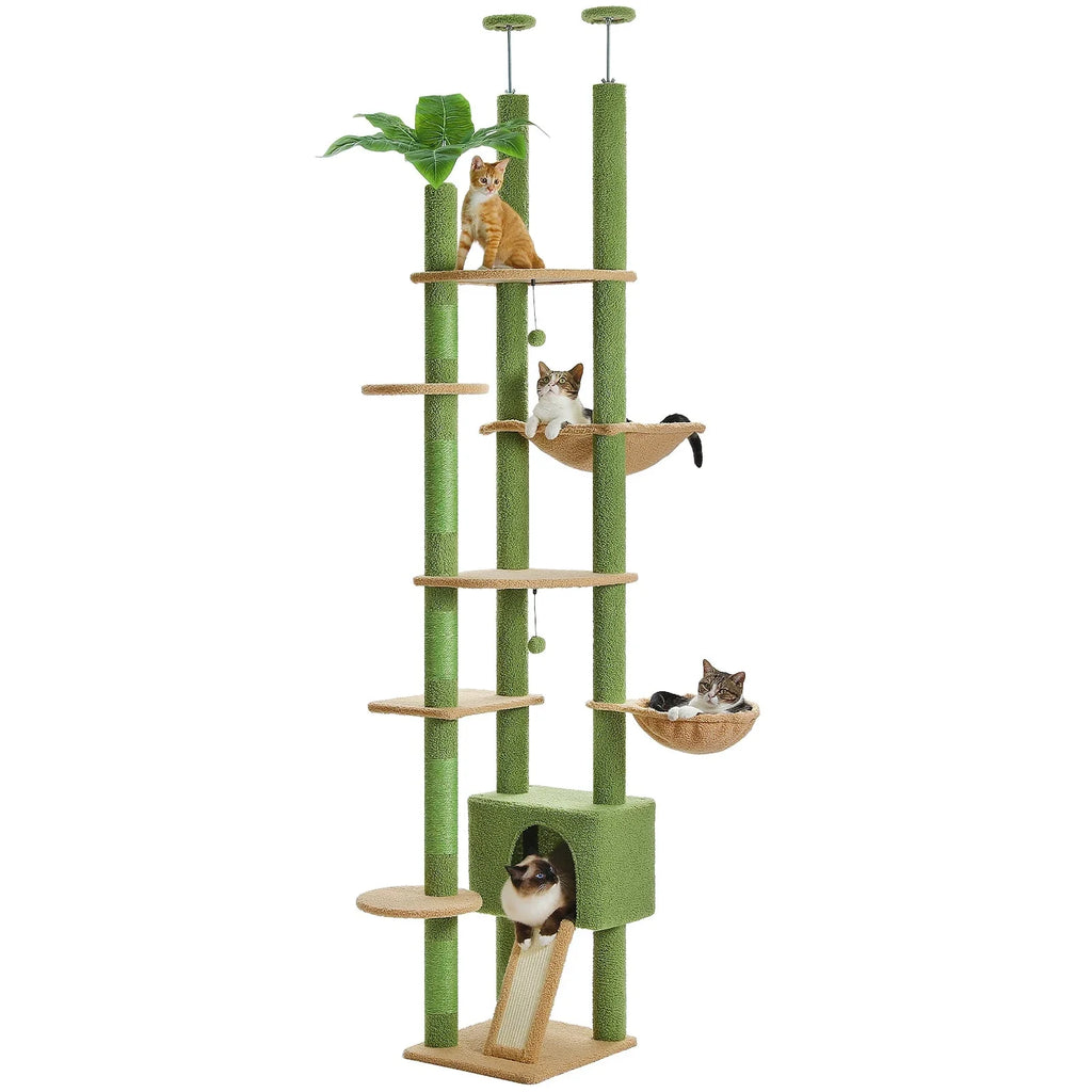 Arbre à chat <br> sol plafond palmier