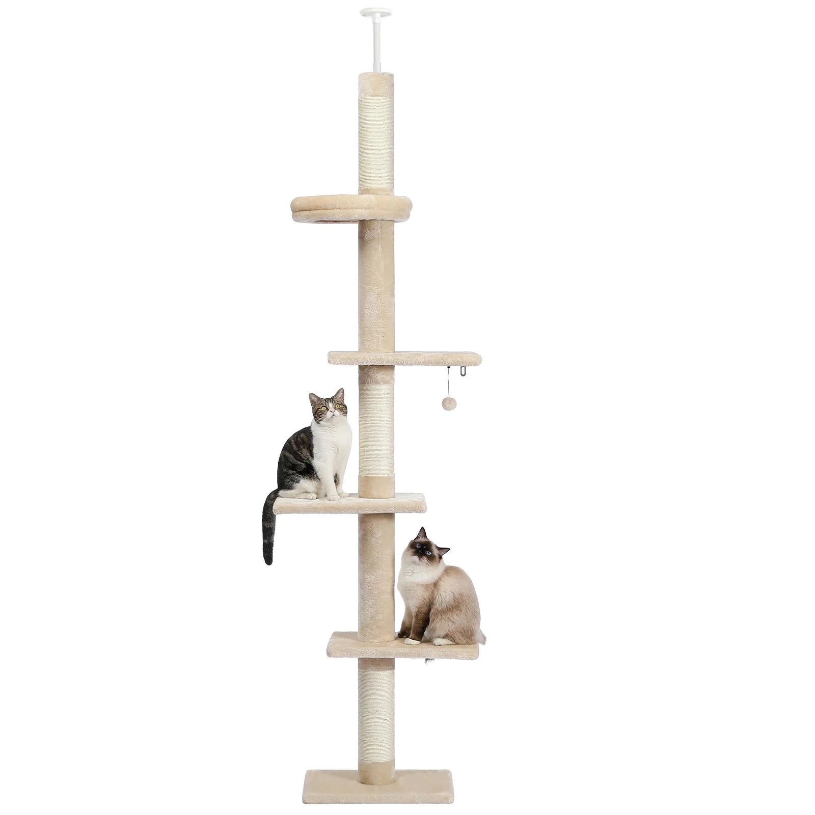 Arbre à chat <br> plafond beige