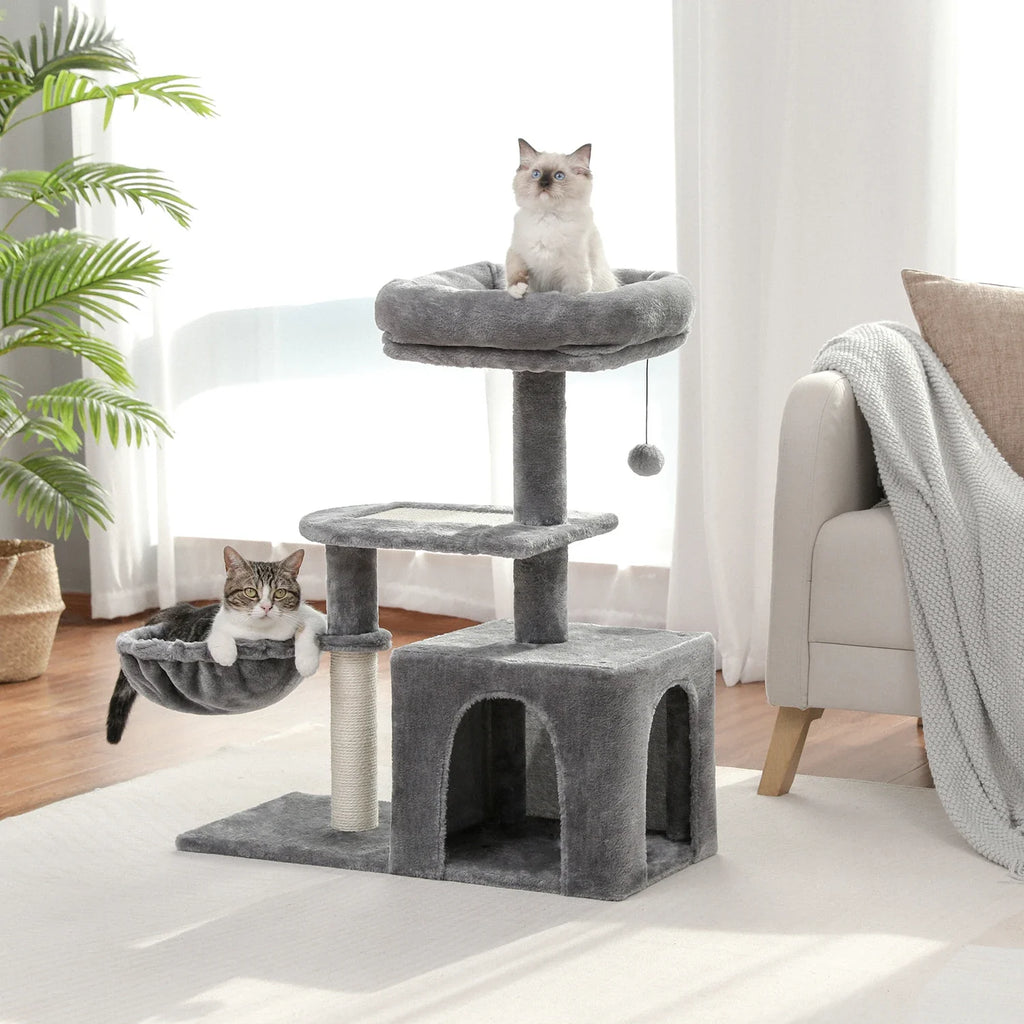 Arbre à Chat Gris – Aureia