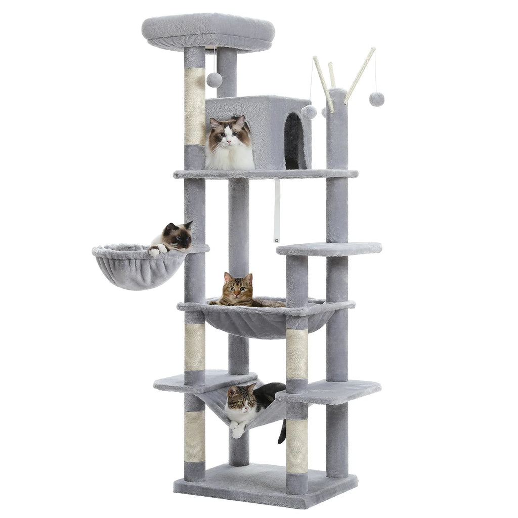 Arbre à chat <br> parcours et hamac
