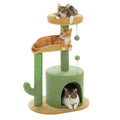 Arbre à chat <br> fleur petit cactus