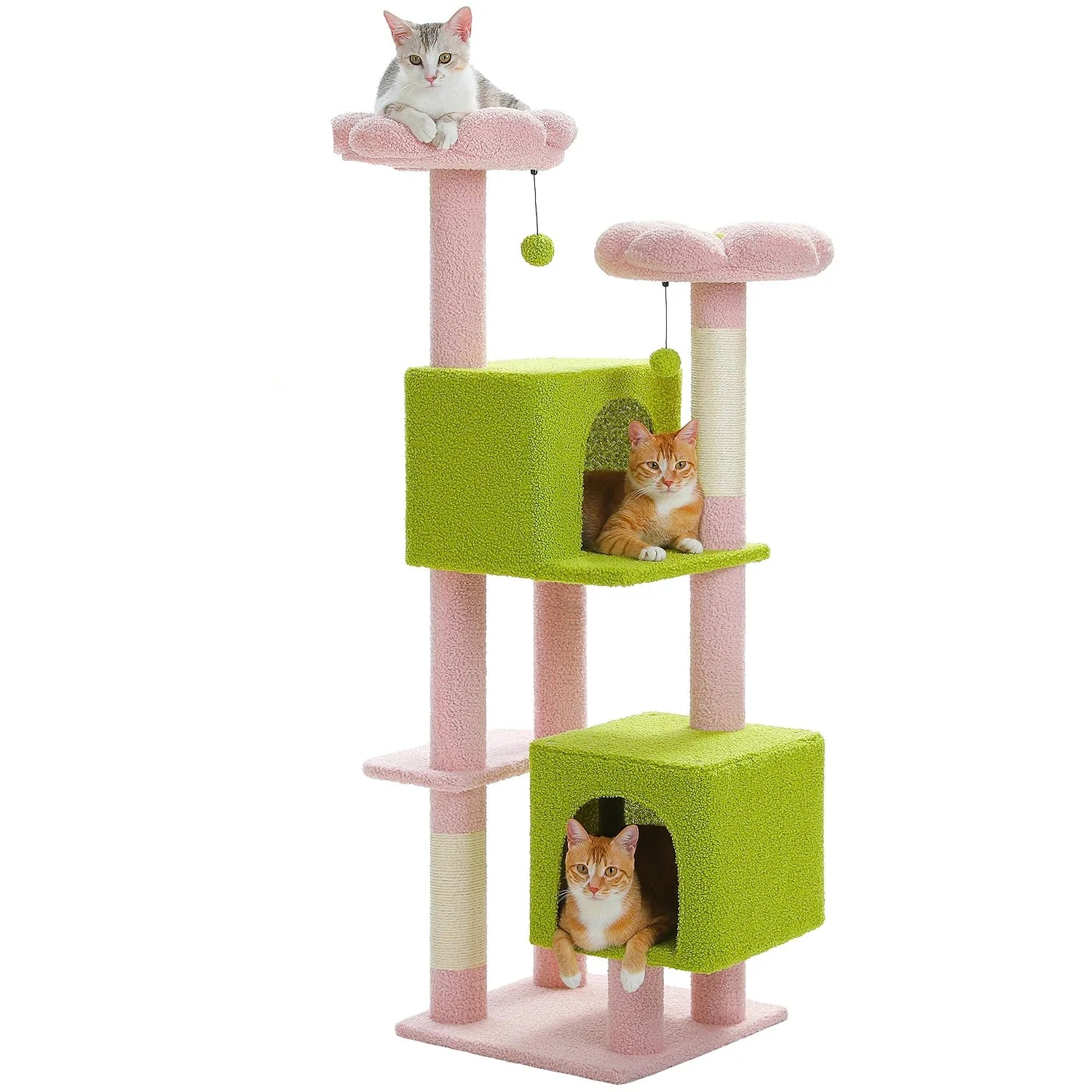 Arbre à chat <br> vert et rose fleuri