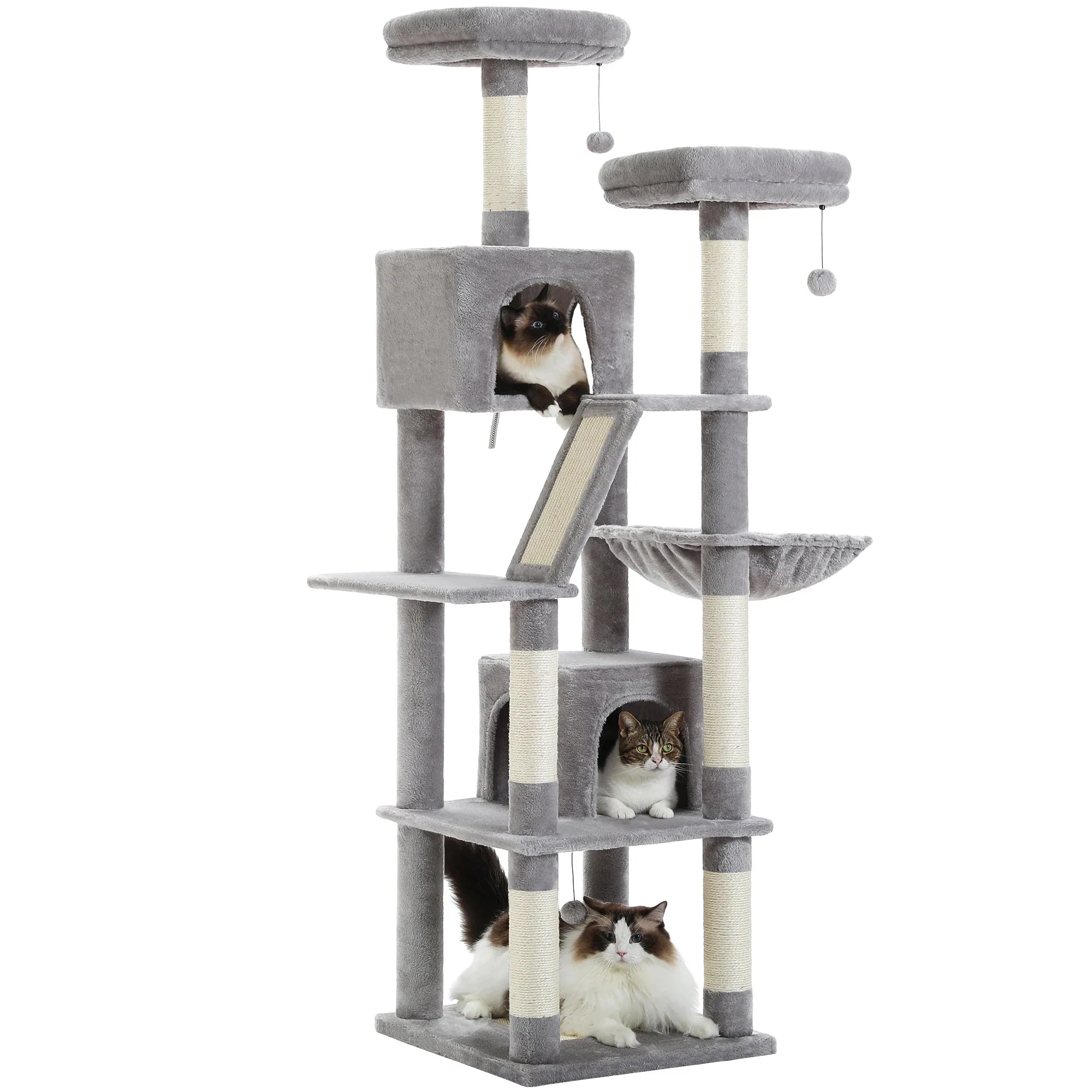 Arbre à chat <br> parcours gris