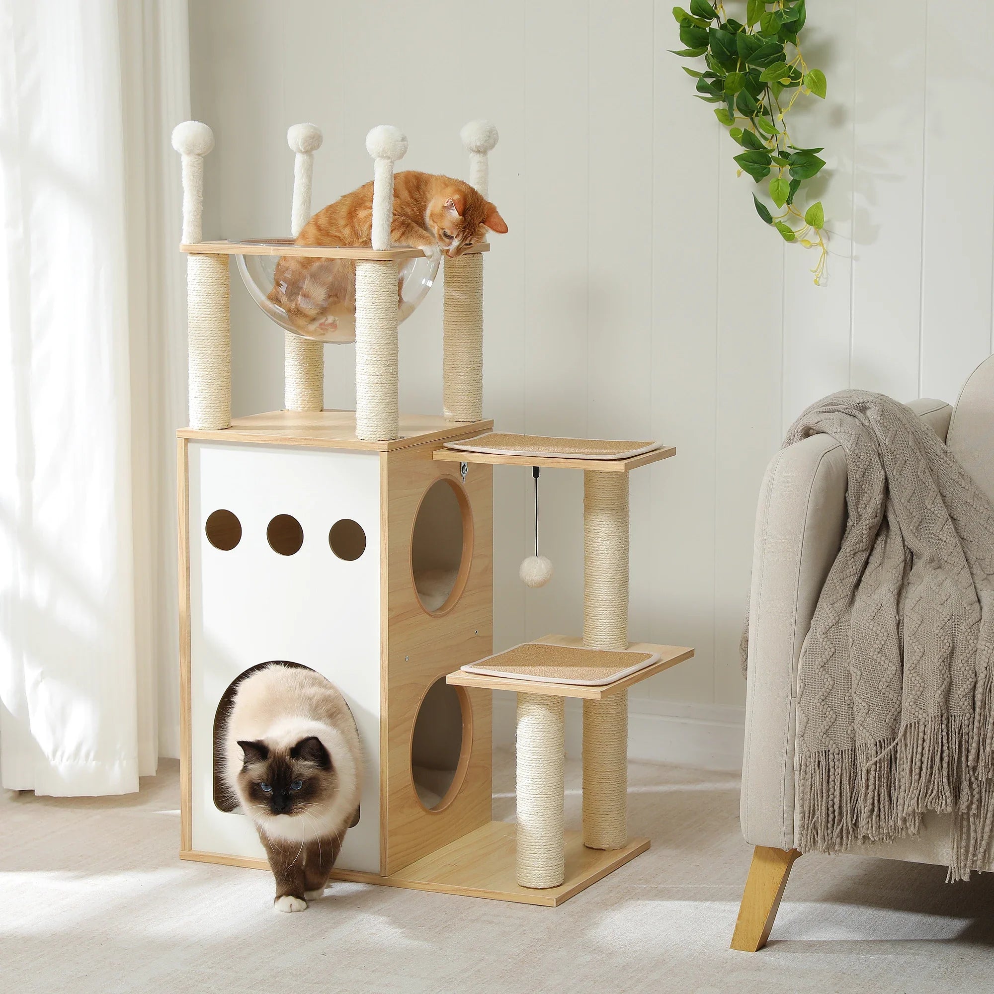 Arbre à Chat Design Bois – Loruna
