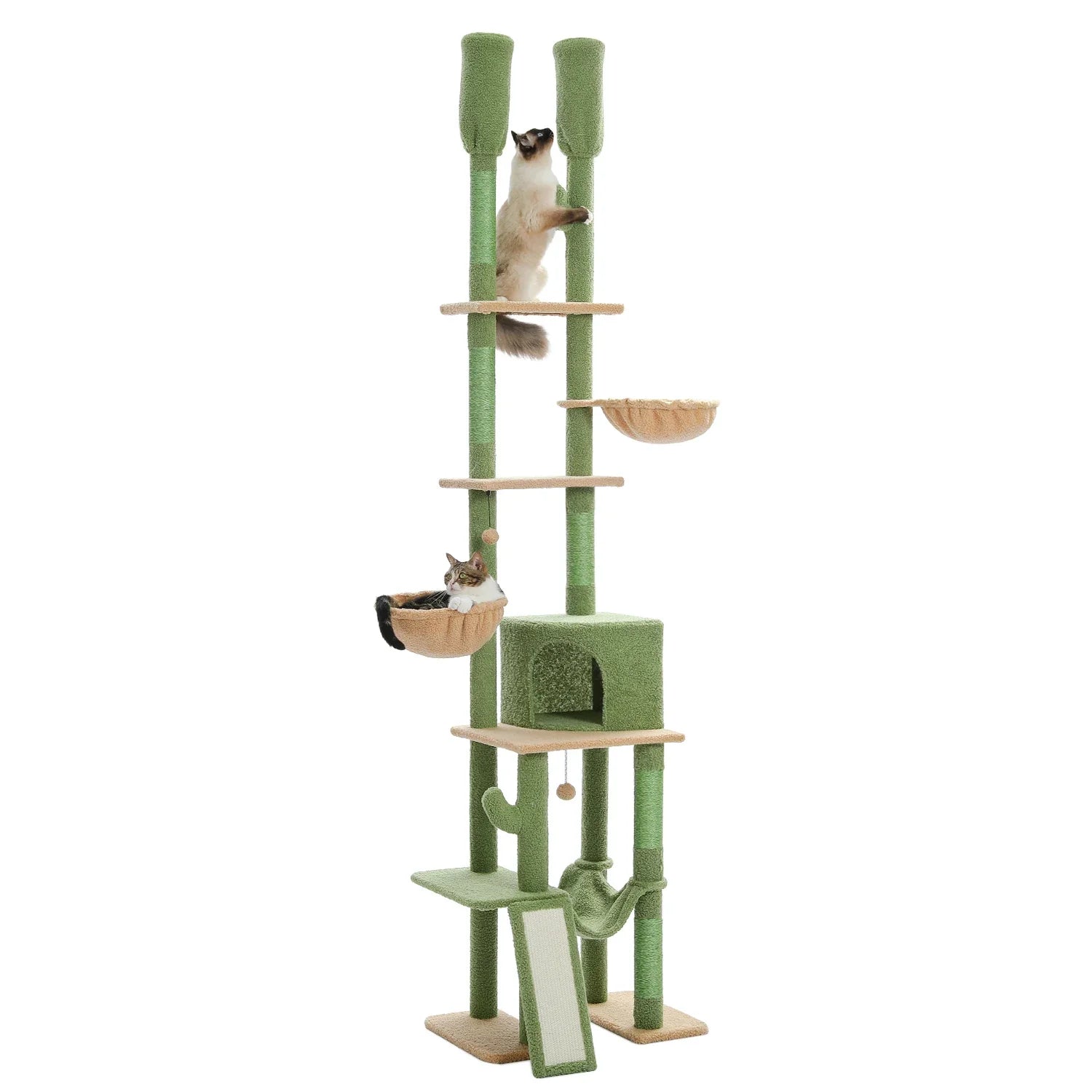 Arbre à Chat Plafond – Galelis
