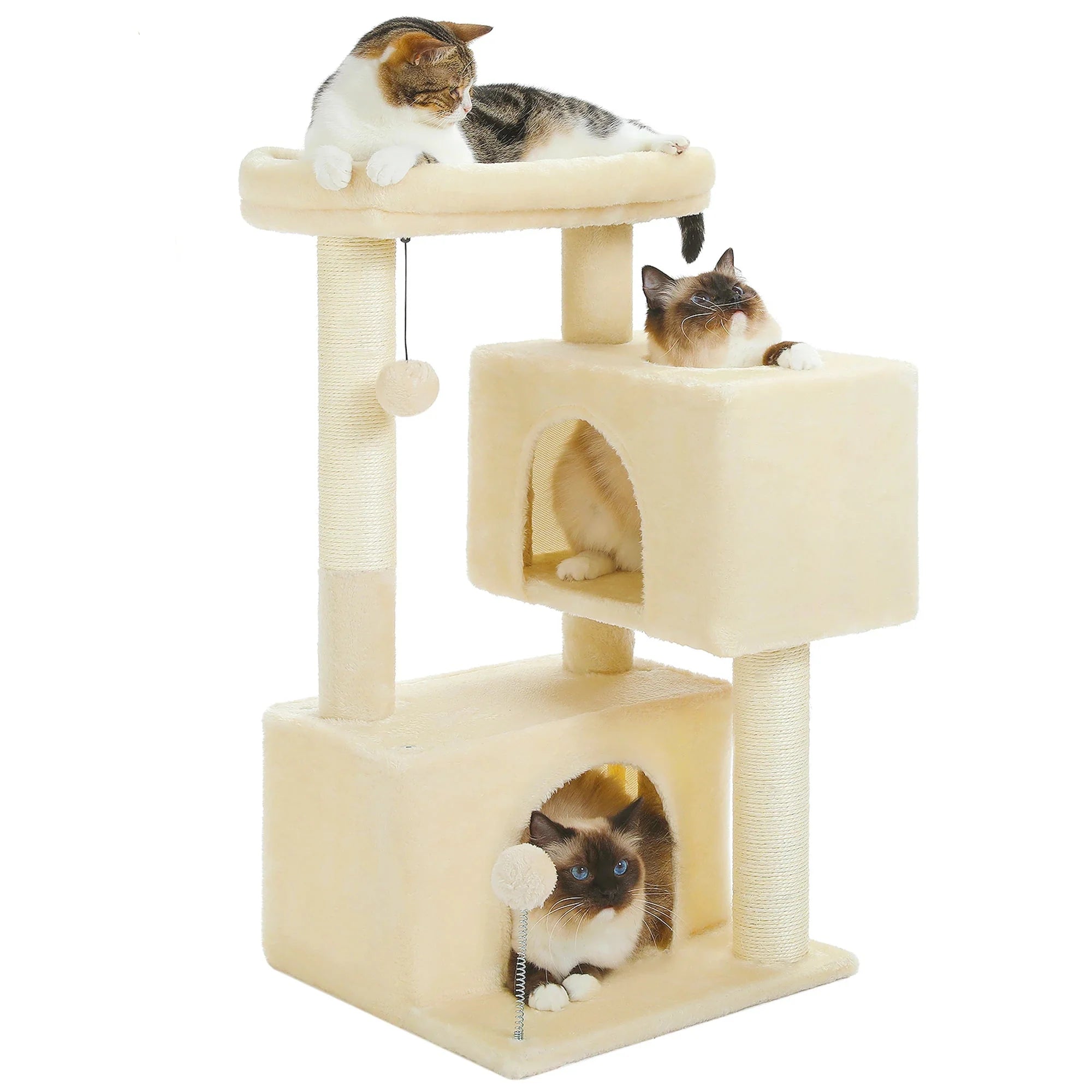 Arbre à Chat Petit Espace – Maraya