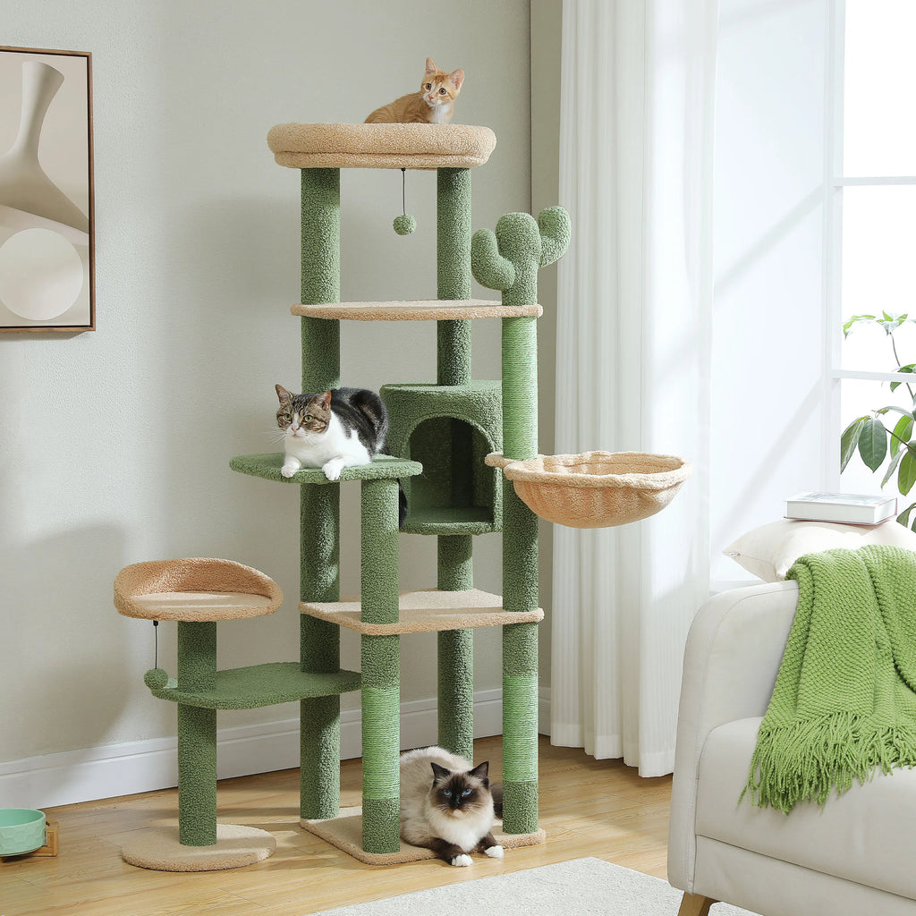 Arbre à Chat Cactus Xxl – Seron
